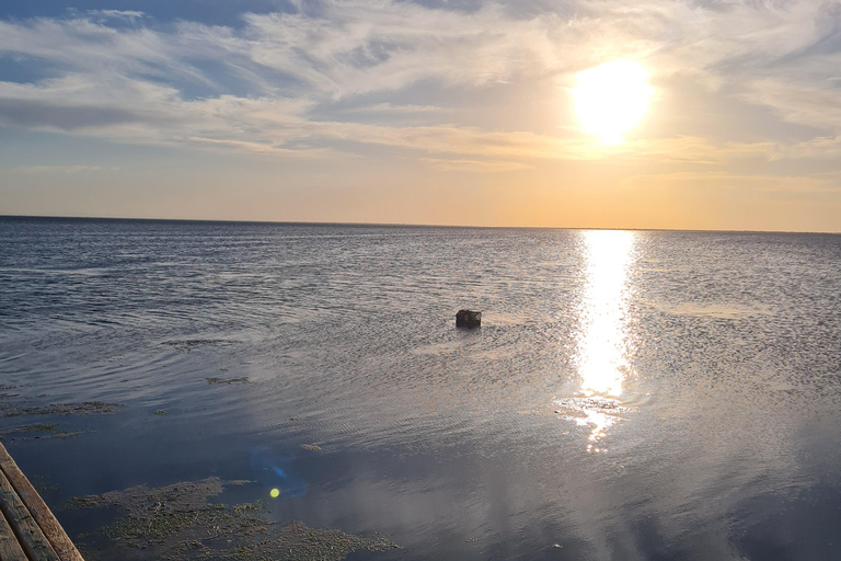 Authentic Djerba: Underground Oil Mill, Palm Grove, Pottery & Mosque