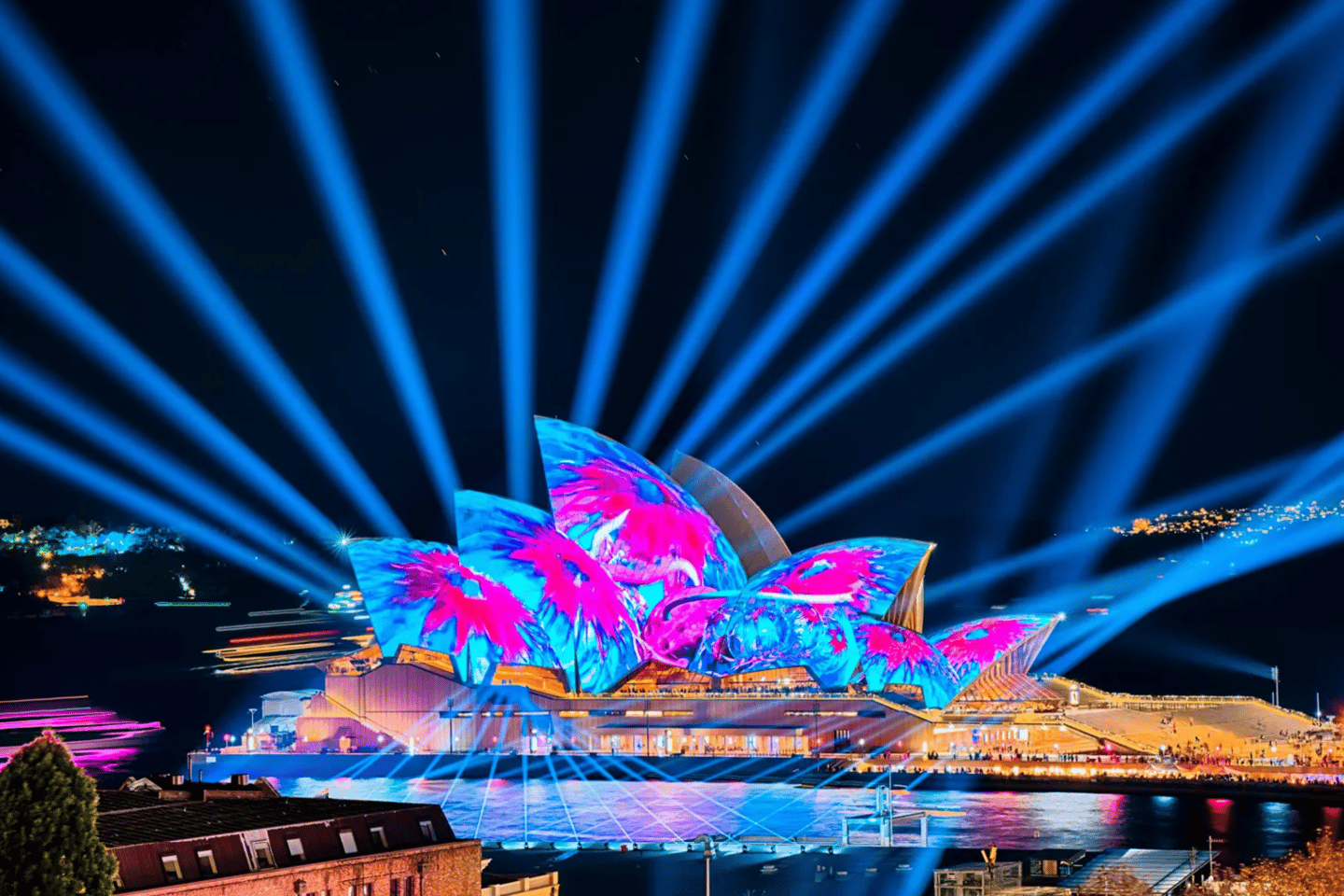 Sydney: Premium Catamaran Vivid Cruise with Welcome Drink - Sydney: Premium Catamaran Vivid Cruise with Welcome Drink