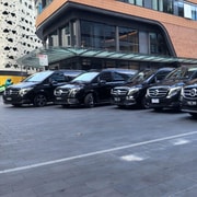 Sydney CBD to Blue Mountain private Day Tour 10 hours