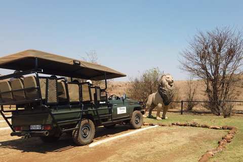 Johannesburg: Safari w rezerwacie przyrody nosorożców i lwów