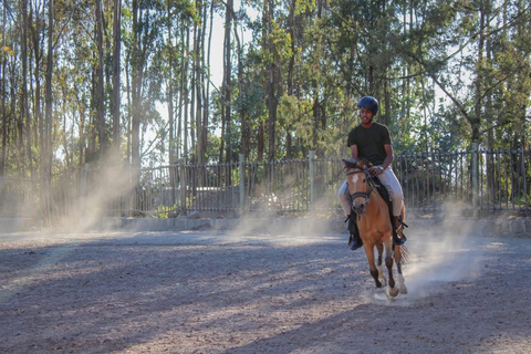 Entoto Lodge Adventure: Hiking, City & Countryside Views