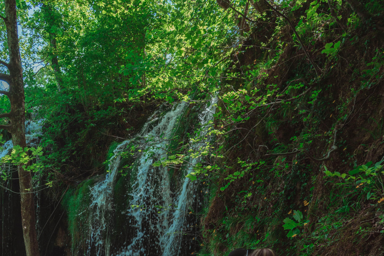 Zadar : Visite guidée des lacs de Plitvice avec billets