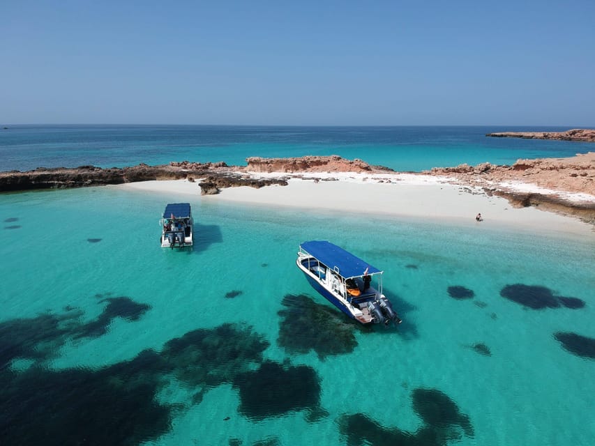 daymaniyat islands snorkeling tour