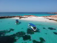 Muscat, Daymaniyat Island Snorkeling Tour - Housity