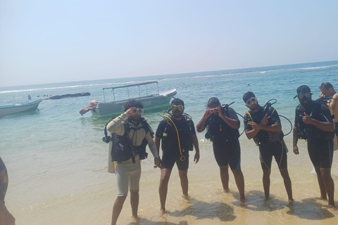 Mirissa: Private Eco Turtle Snorkelling Tour & Photography