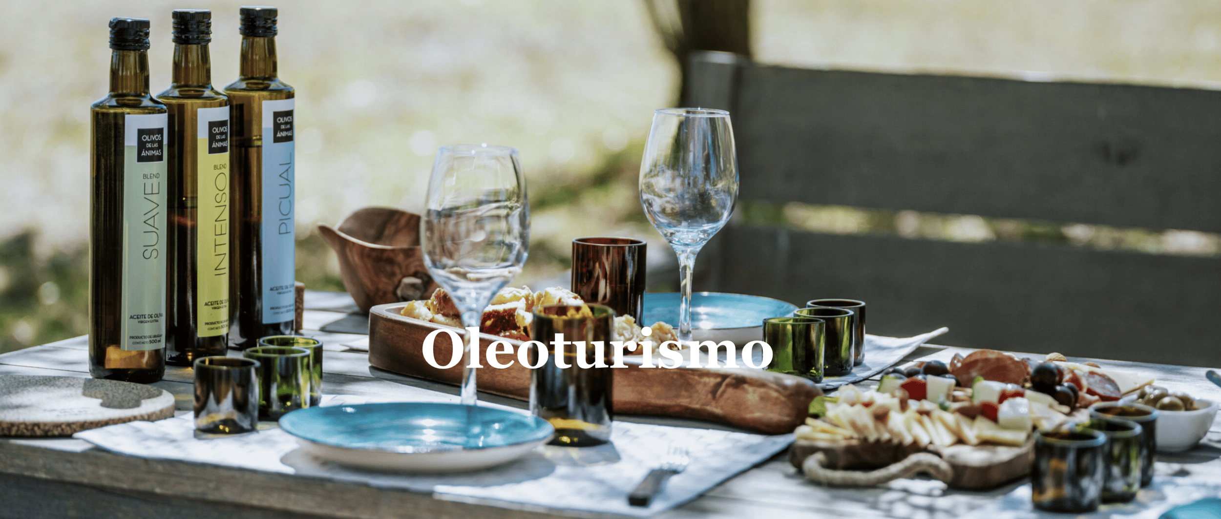 Tour Olivos das Animas mit Deg y Alm