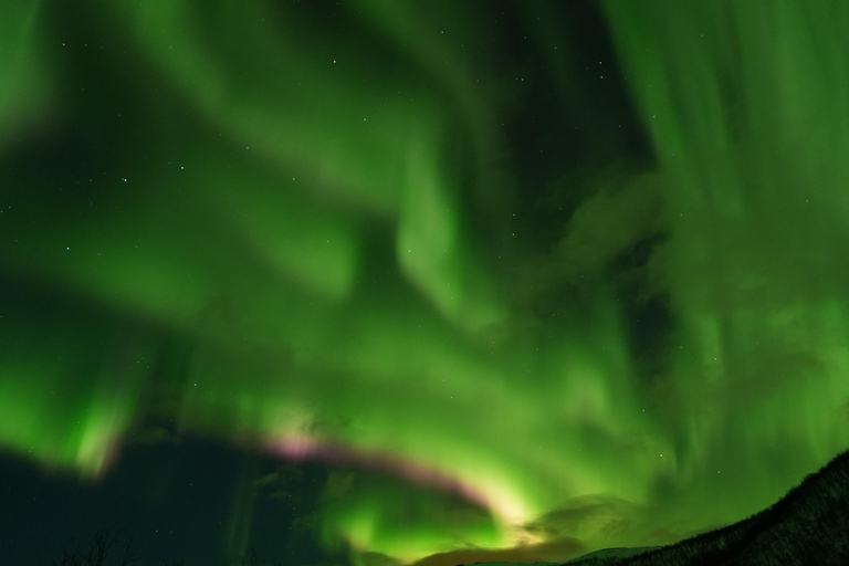 Tromsø: English/Spanish Aurora Pathfinder Tour with Photos Tromsø: English/Spanish Aurora Hunting Private Minibus Tour