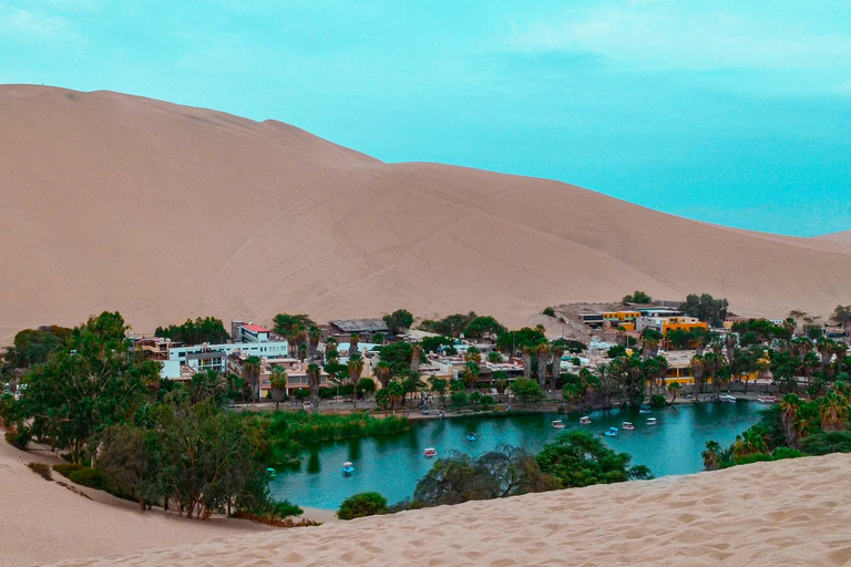 From Lima: Paracas and Huacachina Day Trip with Buggy Ride