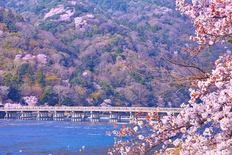 من أوساكا: جولة ليوم واحد في كيوتو ونارا وفوشيمي إناري وأراشياماTrip including Sagano Romantic Train