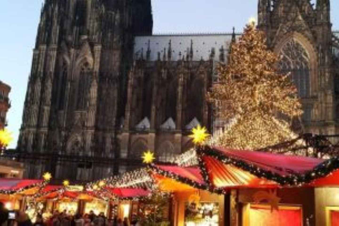 Depuis Amsterdam : Excursion d'une journée à Cologne