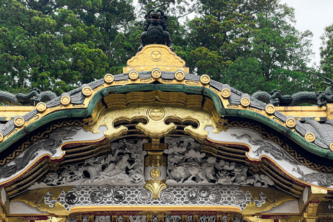 Nikko: Tour de un día desde Tokio en Español - SpanishNikko: Tour en grupo