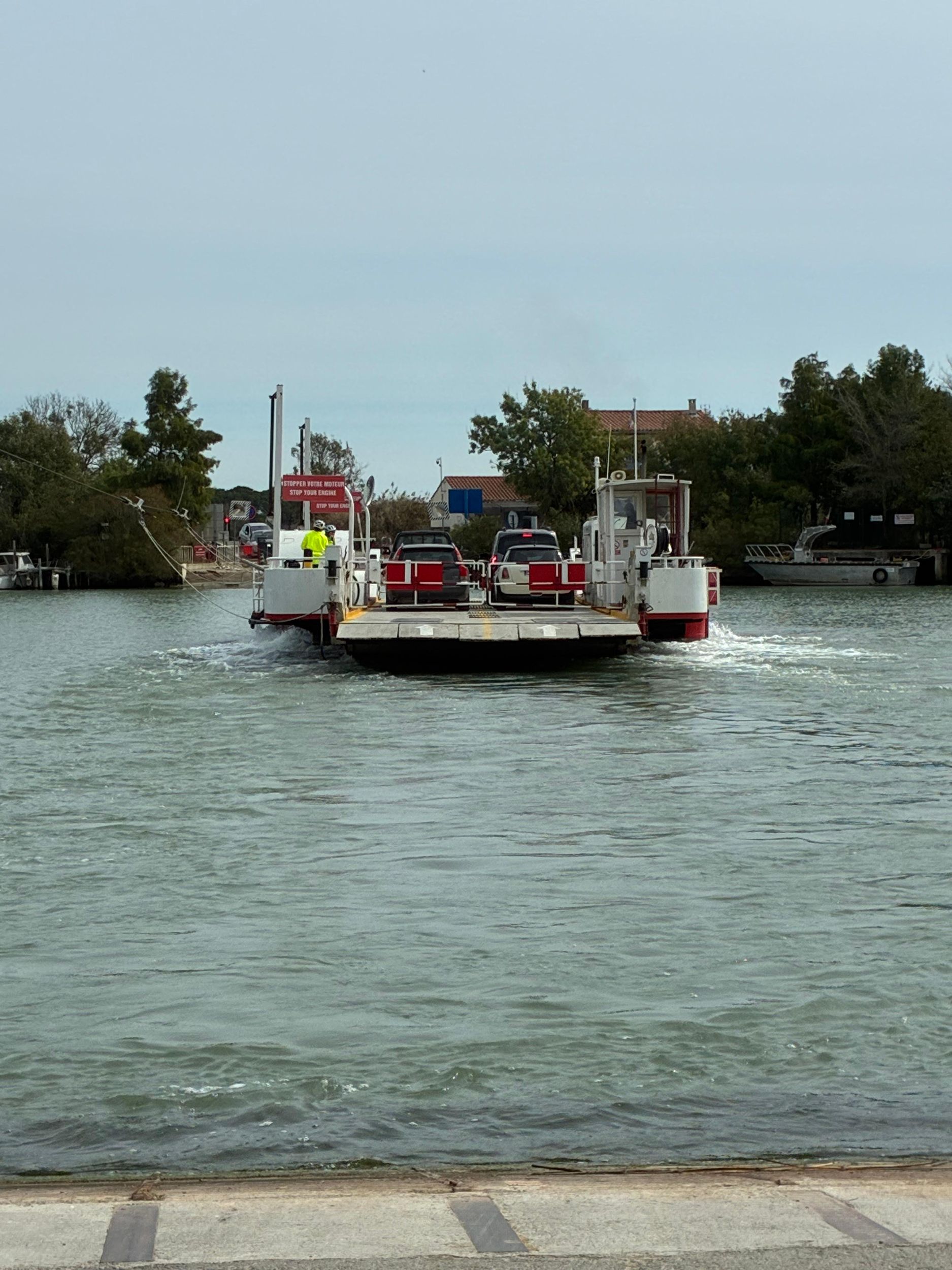 Besuch von Arles und der Camargue
