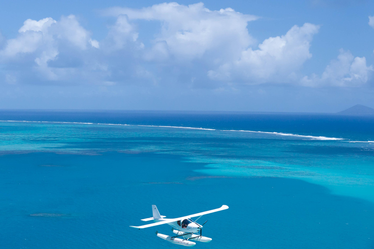 Excursión privada en hidroavión con vistas panorámicas de MauricioVuelo panorámico en hidroavión sobre la isla de Ámbar