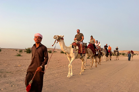Hurghada: Camel Ride & horse ride and Off-Road Jeep Tour pickup from hotels inside hurghada