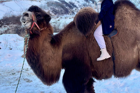 Tbilisi: Private Kazbegi tour with photographer guide