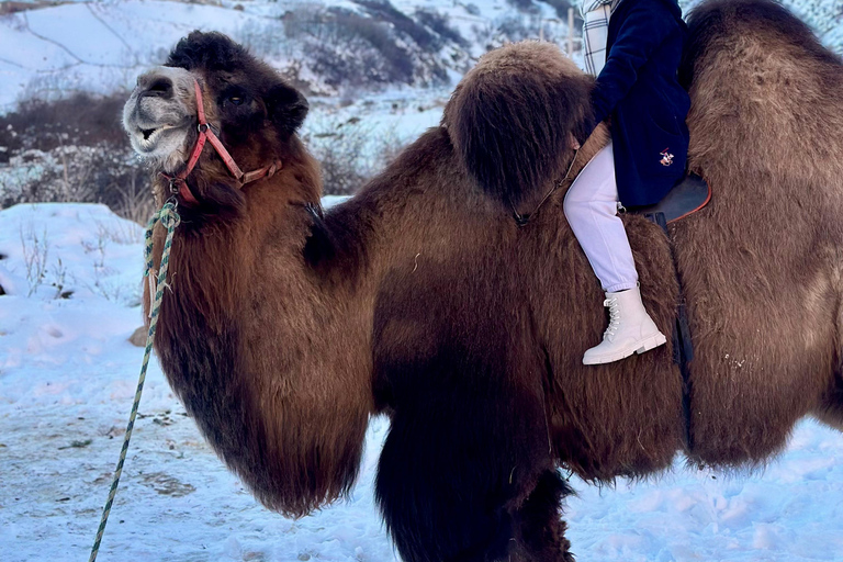 Tbilisi: Private Kazbegi tour with photographer guide