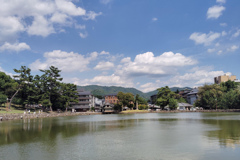 Nara: Wandeltour met gids met Grote Boeddha en Herten(5u)