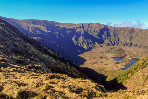 Faial Eiland: Dagvullende tour met lunch inbegrepen in Horta.