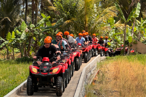 Ubud: Gorilla Face-quad, jungleschommel, waterval en maaltijdTandemrit met Bali Transfers