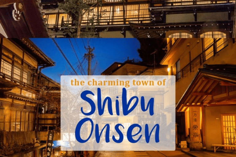 From Tokyo: Nagano Private Day Trip with Zenko-ji Temple