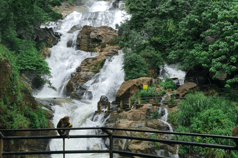 Ella: Private Yala Safari & South Coast Hotel Transfer Ella: Private Yala Safari & South Coast Hotel Transfer