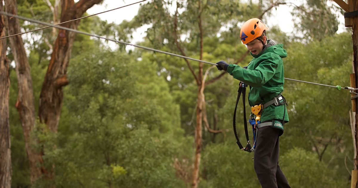 Yeodene: Tree Ropes Courses | GetYourGuide