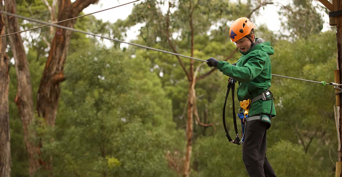 Yeodene Tree Ropes Courses GetYourGuide