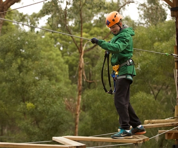 Yeodene: Tree Ropes Courses