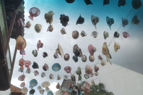 Panama City: Canal, Casco Viejo, and Amador Causeway Tour