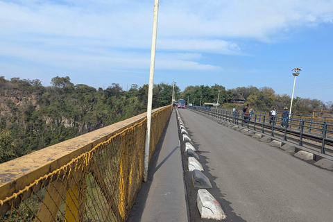 Victoria Falls: Historic Town Tour, Big Tree & Guided Walk