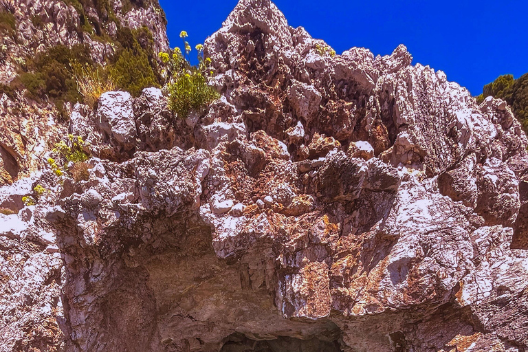 Von Sorrento aus: Entdecke die Insel Capri mit dem Privatboot