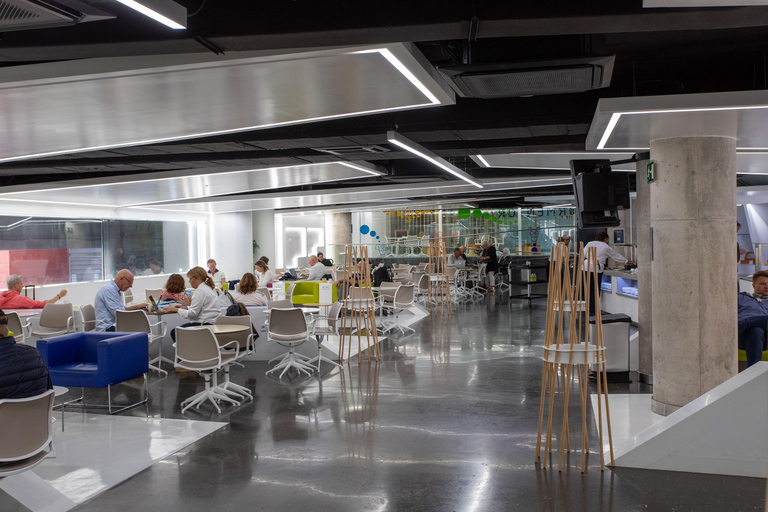 Palma de Mallorca: Access to Formentor VIP Airport Lounge