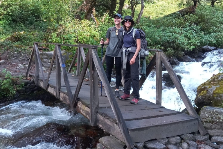 Langtang Valley Trek-7 Tage mit Unterkunft & Führer, TrägerLangtang Valley Trek - 10 Tage mit Guide, Gepäckträger und Übernachtung