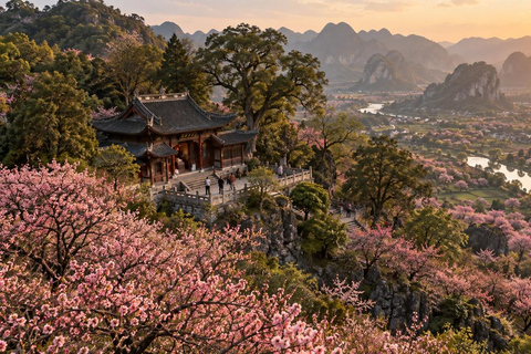 Chongqing: Youyang Taohuayuan Scenic Area Experience Youyang Taohuayuan: Private Transfer + English Guide