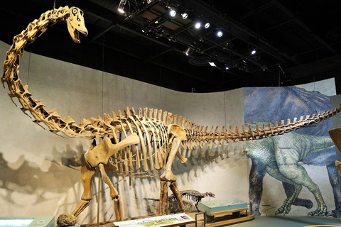 Denver: Museum of Nature and Science Ticket & Digital Tour Museum of Nature & Science Ticket & Digital Tour in Spanish