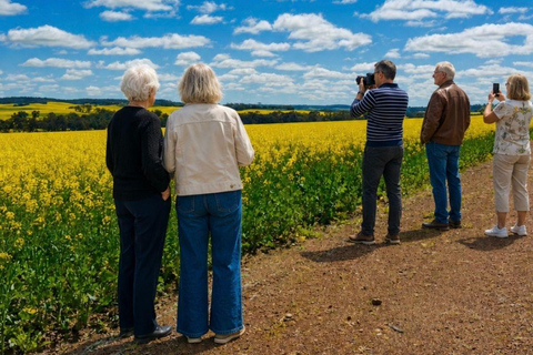 Follow the wildflower trail from Perth to New Norcia