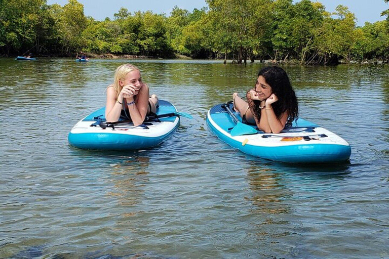 Zanzibar: Stone town tour and Mangrove Kayaking Experience. This tour include hotel transfer go and return.