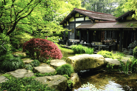 Hangzhou: Longjing Tea Culture & Nine Creeks Day Tour
