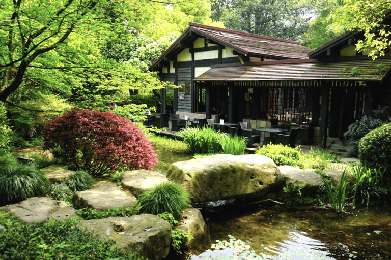 Hangzhou: Longjing Tea Culture & Nine Creeks Day Tour