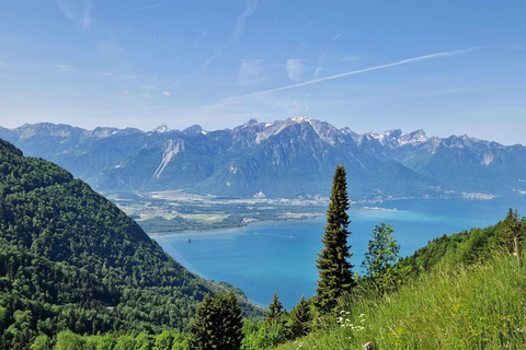 Montreux: Rochers-de-Naye Hike and Picnic Day Trip