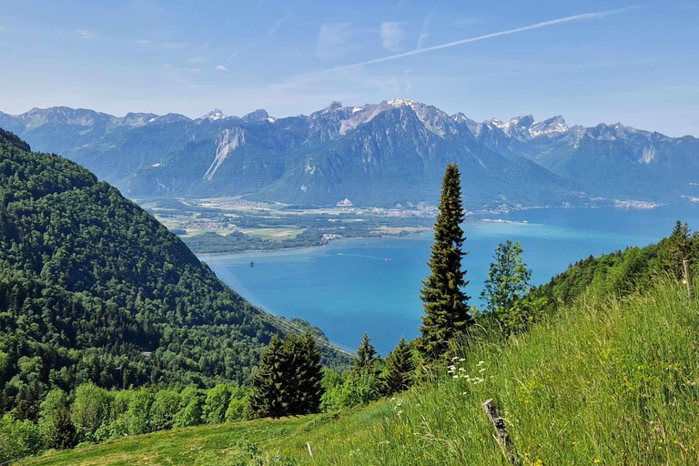 Montreux: Rochers-de-Naye Hike and Picnic Day Trip
