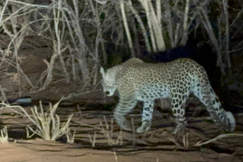 Chobe Overnight Trip (nocna przejażdżka, spacer po wiosce, kemping)
