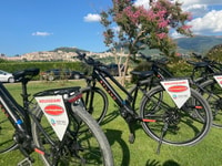 E-bike Citybike Rental - full day - Housity