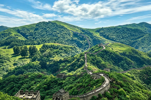 Forbidden City & Mutianyu Great Wall Private or Group Tour Group tour: Forbidden city + Treasure Museum