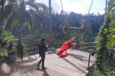 Ubud: Foresta di scimmie, terrazze di riso e cascateUbud: Foresta di scimmie, terrazza di riso e cascata