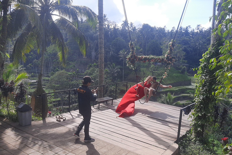 Ubud: Foresta di scimmie, terrazze di riso e cascateUbud: Foresta di scimmie, terrazza di riso e cascata