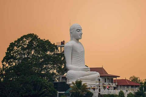 Kandy: Night Tour with Temples and attractions in the area Kandy Night Tour with Temples,attractions in the area by tuk