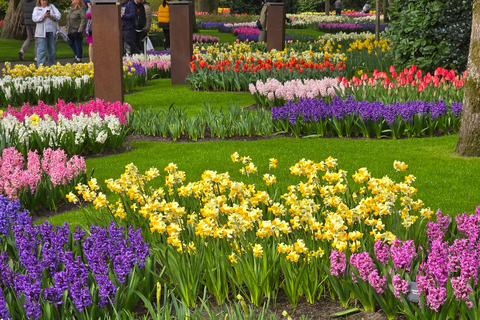 From Amsterdam: Keukenhof Tulips, Windmills & Volendam