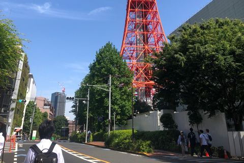 Tokio rondleidingen in het Spaans (Tsukiji Markt-Ginza-Tokyo Toren)