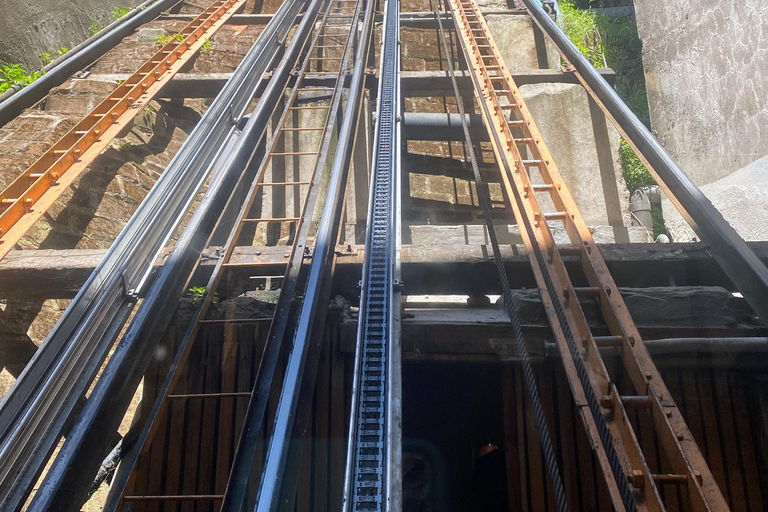 Valparaíso & Viña: Coastal Experience & Kayak